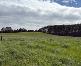 Rural / Farming commercial property for sale at 226 Hursts Road Lileah TAS 7330