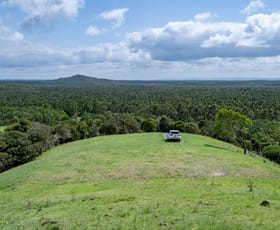 Rural / Farming commercial property for sale at 239 Parsons Road Coondoo QLD 4570
