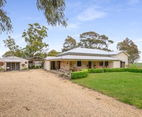 Rural / Farming commercial property for sale at 771 Belt Road Millicent SA 5280