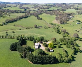 Rural / Farming commercial property for sale at 545 Waldegrave Road Waldegrave NSW 2800