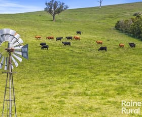 Rural / Farming commercial property for sale at 83 Cressbrook Road Hindmarsh Valley SA 5211