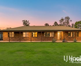 Rural / Farming commercial property for sale at 72-96 Tamborine Street Jimboomba QLD 4280