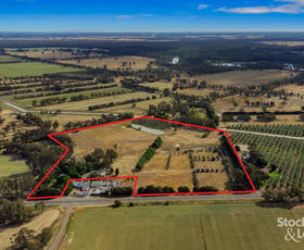 Rural / Farming commercial property for sale at 4432 Barmah-Shepparton Road Bunbartha VIC 3634