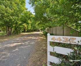 Rural / Farming commercial property for sale at 4432 Barmah-Shepparton Road Bunbartha VIC 3634 Rural / Farming commercial property for sale at 4432 Barmah-Shepparton Road Bunbartha VIC 3634