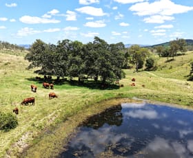 Factory, Warehouse & Industrial commercial property for sale at 3/8 Barnett Place Molendinar QLD 4214