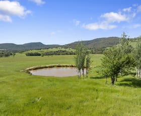 Rural / Farming commercial property for sale at 1477 Mansfield-Whitfield Road Bridge Creek VIC 3723