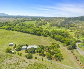 Rural / Farming commercial property for sale at 392 Fairy Bower Road Gracemere QLD 4702