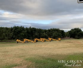 Rural / Farming commercial property for sale at 1611 Mareeba-Dimbulah Arriga QLD 4880