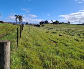 Rural / Farming commercial property for sale at 108 Weeks Road Barrington TAS 7306