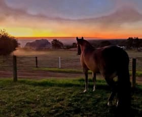 Rural / Farming commercial property for sale at 611 Coolup Road East Meelon WA 6208