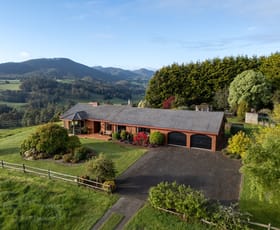 Rural / Farming commercial property for sale at 191 Pine Road Penguin TAS 7316
