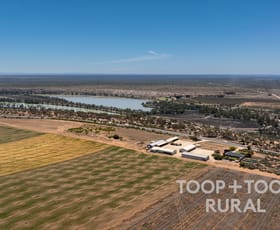 Rural / Farming commercial property for sale at 4457 Hunter Road Nildottie SA 5238