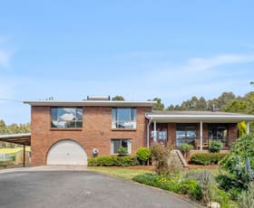 Rural / Farming commercial property for sale at 98 Settlement Road Flowery Gully TAS 7270