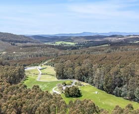 Rural / Farming commercial property for sale at 98 Settlement Road Flowery Gully TAS 7270