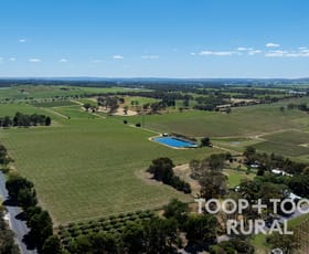 Rural / Farming commercial property for sale at 303 Stonewell Road Stone Well SA 5352 Rural / Farming commercial property for sale at 303 Stonewell Road Stone Well SA 5352
