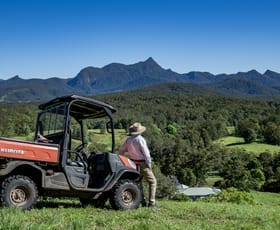 Rural / Farming commercial property for sale at 148 Pine Log Road Doon Doon NSW 2484