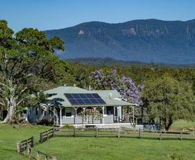 Rural / Farming commercial property for sale at 148 Pine Log Road Doon Doon NSW 2484 Rural / Farming commercial property for sale at 148 Pine Log Road Doon Doon NSW 2484