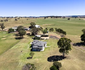 Rural / Farming commercial property for sale at 499 Mebul Road Gulgong NSW 2852