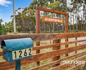 Rural / Farming commercial property for sale at 1262 Bridport Road Bridport TAS 7262 Rural / Farming commercial property for sale at 1262 Bridport Road Bridport TAS 7262