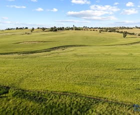 Rural / Farming commercial property for sale at 170 Kanoona Road Harden NSW 2587