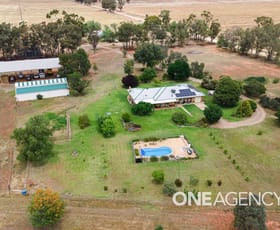 Rural / Farming commercial property for sale at 268 ANDREWS ROAD Brookdale NSW 2656