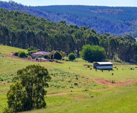 Rural / Farming commercial property for sale at 305 & Lot 8138 Balingup-Nannup Road Balingup WA 6253