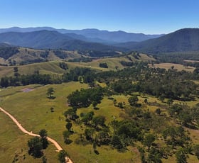 Rural / Farming commercial property for sale at 3/1076 Neringla Road Braidwood NSW 2622 Rural / Farming commercial property for sale at 3/1076 Neringla Road Braidwood NSW 2622