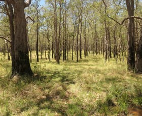 Rural / Farming commercial property for sale at 4 Kimbin Pikapene Road Tabulam NSW 2469