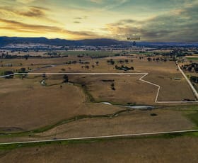 Rural / Farming commercial property for sale at 473-475 Burrundulla Road Mudgee NSW 2850