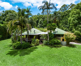 Rural / Farming commercial property for sale at 20 Lilly Pilly Road Wilsons Creek NSW 2482