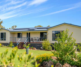 Rural / Farming commercial property for sale at 40 Ipomea Street Emu Vale QLD 4371