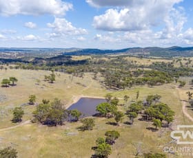 Rural / Farming commercial property for sale at 149 Schroders Road Emmaville NSW 2371