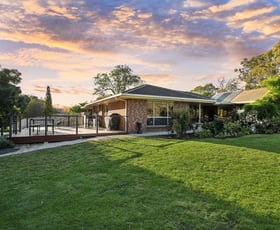 Rural / Farming commercial property for sale at 1159 Old Princes Highway Dawesley SA 5252