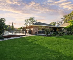 Rural / Farming commercial property for sale at 1159 Old Princes Highway Dawesley SA 5252