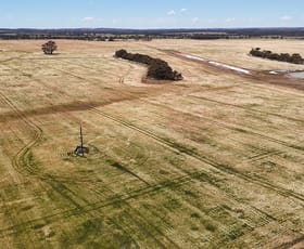 Rural / Farming commercial property for sale at Kolonga Downs 175 McAuliffe Road Katanning WA 6317