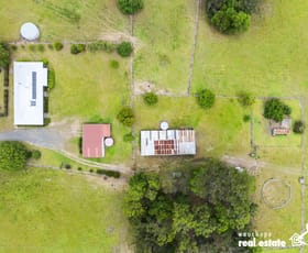 Rural / Farming commercial property for sale at 523 Mortons Creek Road Mortons Creek NSW 2446