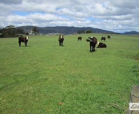 Rural / Farming commercial property for sale at 921 Melrose Road Melrose TAS 7310