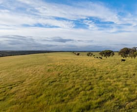 Rural / Farming commercial property for sale at 195 Gunn Road Drome WA 6330