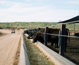 Rural / Farming commercial property for sale at Proston QLD 4613