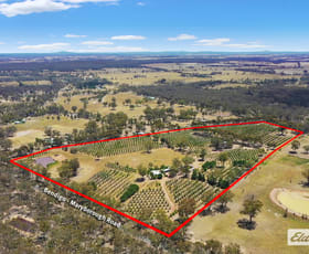 Rural / Farming commercial property for sale at 1012 Bendigo-Maryborough Road Lockwood VIC 3551