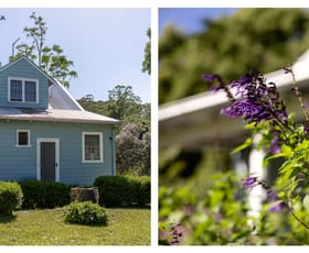 Rural / Farming commercial property for sale at 98 Jerusalem Road Stewarts River NSW 2443