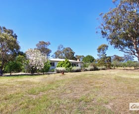 Rural / Farming commercial property for sale at 1012 Bendigo-Maryborough Road Lockwood VIC 3551