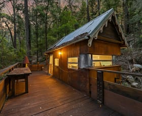 Rural / Farming commercial property for sale at 475 Webbs Creek Road Webbs Creek NSW 2775