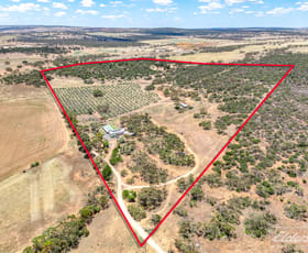 Rural / Farming commercial property for sale at 775C North Bremer Road Hartley SA 5255