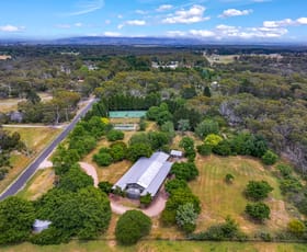 Rural / Farming commercial property for sale at 81 Victoria Road Wedderburn NSW 2560