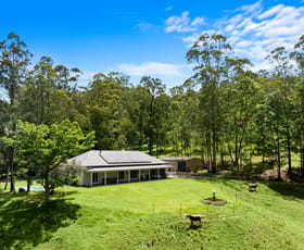 Rural / Farming commercial property for sale at 737 Smiths Creek Road, Smiths Creek Kyogle NSW 2474
