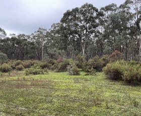 Rural / Farming commercial property for sale at _ CA's 32, 33A, 34 & Lot 1 Off Gunyah Track Wellsford VIC 3551