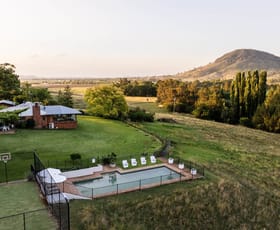 Rural / Farming commercial property for sale at 639 Castlereagh Highway Mudgee NSW 2850