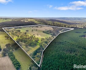 Rural / Farming commercial property for sale at 482 Peters Creek Road Kuitpo SA 5201