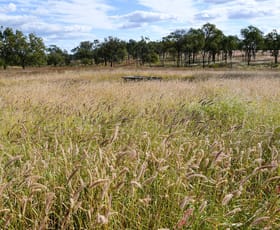 Rural / Farming commercial property for sale at 360 Sewells Walloon Road Castle Creek QLD 4715